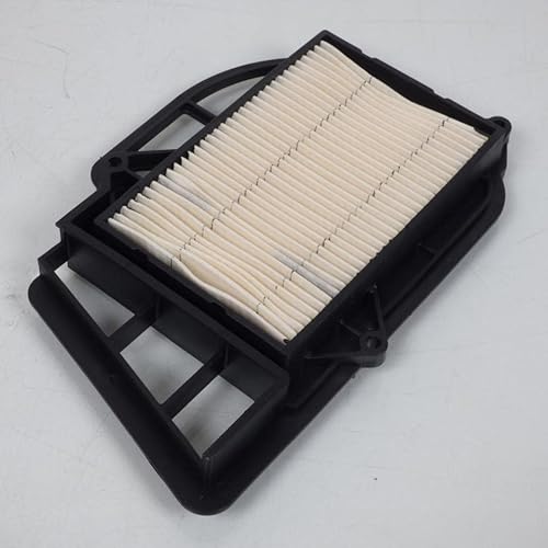 Sifam - Filtro dell'aria per scooter Yamaha 250