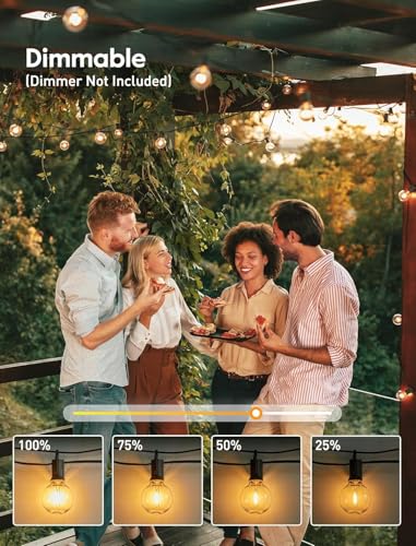 image for Brightown 2 Pack 25FT Outdoor String Lights, Globe Patio Lights with 1