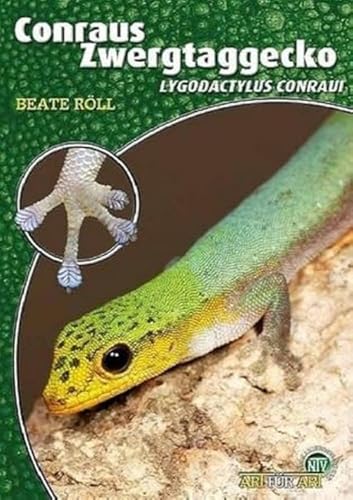 Conraus Zwergtaggecko: Lygodactylus conraui (Buchreihe Art für Art...