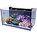 Innovative Marine Starter Kit Aquariums (20 Gallon Long)