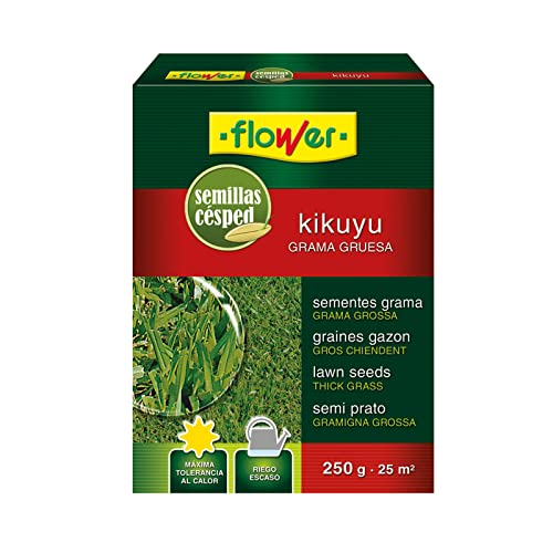 Flower Semillas Kikuyu, 250 gr