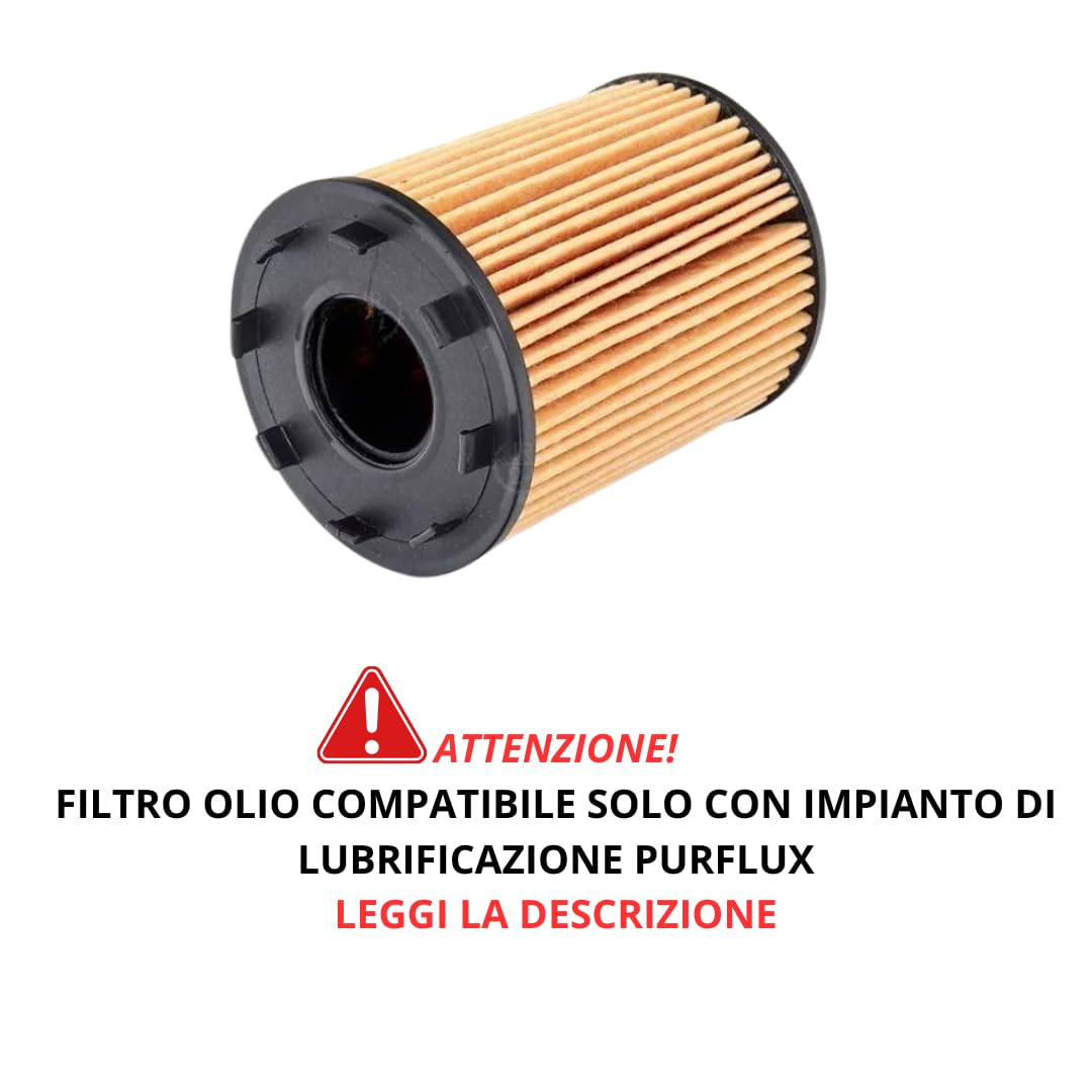 Kit Tagliando compatibile con Fiat Punto 1.3 Multijet + Selenia 5W40 + Additivo (IMP. PURFLUX)