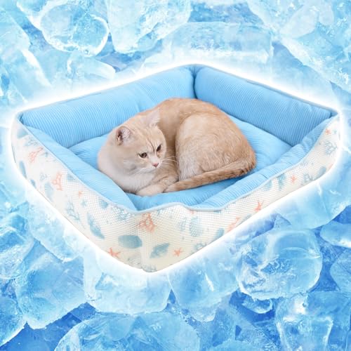 Peto-Raifu ybgxbh  L xbh  Ђ ⊴ 􂦂 3DʋCD  ėpxbh ėp ybgNbV pxbh Lpxbh ⊴xbh ӂӂ ybg\t@[ ΍ Oa50x45x15cm Lk