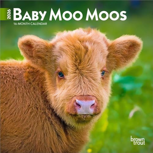 Baby Moo Moos | 2026 7 x 14 Inch (Hanging) Monthly Mini Wall Calendar | BrownTrout | Domestic Cows Animals