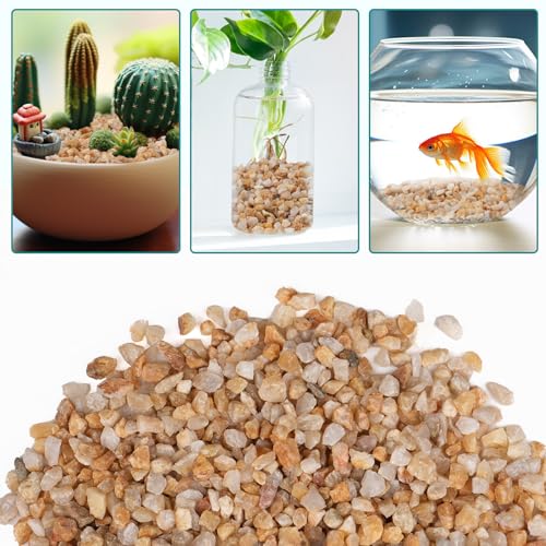 Image of 5 lbs Coarse Sand for Plants, 1 /5 Inch Horticultural Sand for Vases, Aquariums, Terrarium, Fish Tank, Drainage Rocks for Potted Plants, Bamboo, Succulent, Crafts, Cactus