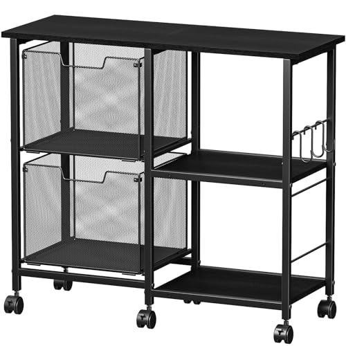 Sbanmao 2 Drawer File Cabinet, Lateral Filing Cabinet, Rolling Printer Cabinet Cart with Open...