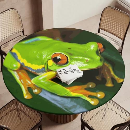Nappe de table ronde élastique et imperméable pour repas en extérieur