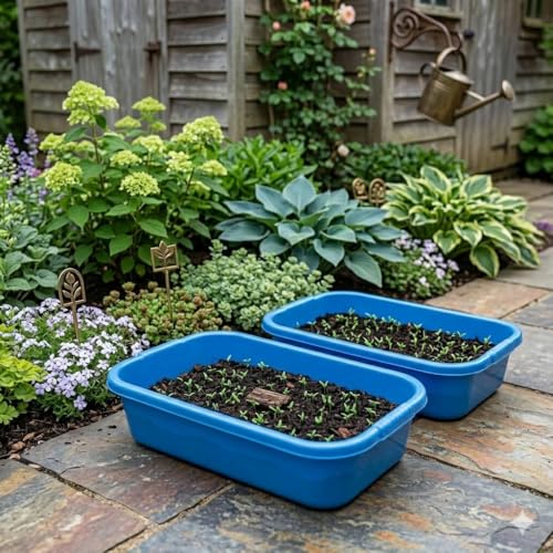 Image of MUnbreakable Multipurpose Plastic Big Rectangular Tray - Large Storage & Organizer Basket for Kitchen, Office, Desk & Home Use - 56.5 x 36.5 x 16.5 cm (Multicolor, Pack of 1)