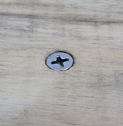 Bolt Dropper Kreuzschlitz-Holzschrauben aus Edelstahl, 100 Stück, 18–8 (304) Edelstahl, 6 Stück – Bild 7