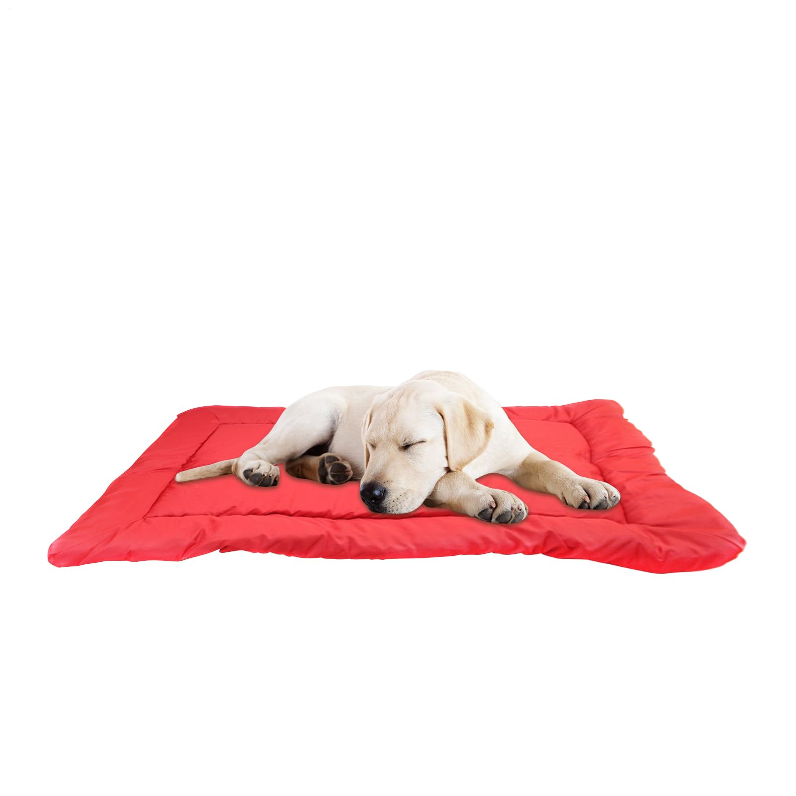 Panier pour chien extérieur et tapis lavable antidérapant pour le voyage
