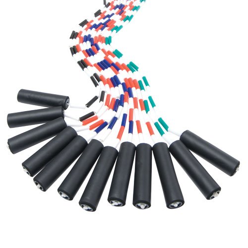 Buy BSN Sports Segmented Jump Rope with Foam Handle, 10Feet Online at