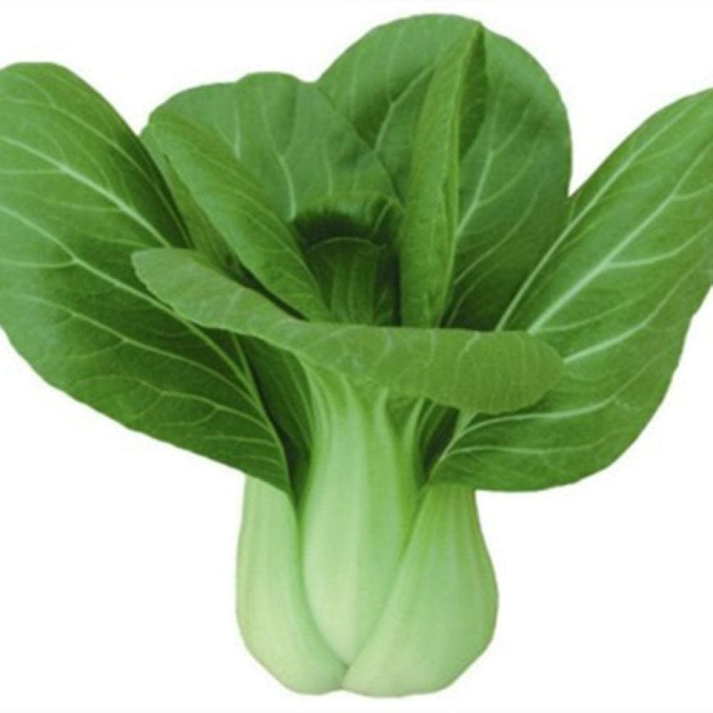 VibeX Bok Choy Chinese Cabbage Seeds-250 Seeds (B0B9Y6H4HW) Amazon Price History, Amazon Price Tracker
