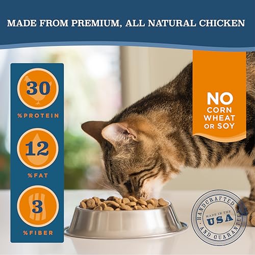Blackwood Dry Cat Food, Indoor Formula, Chicken Meal & Brown Rice Recipe, 13.2 Pound Bag, High Protein, Slow Cooked - Thumbnail 2