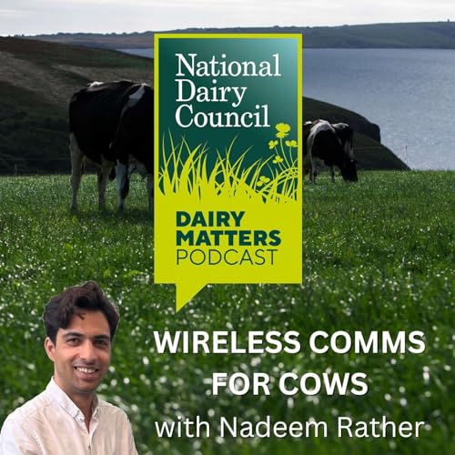 Wireless Comms for Cows