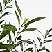 Warmplants Artificial Olive Tree, 5ft Tall Fake Olive Leaves Plant with Basket, Indoor Outdoor Faux Olive Topiary Silk Tree for Home Livingroom Office House Décor