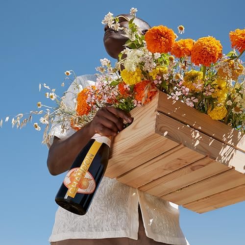 Chandon Garden Spritz, 75cl - Argentinian Sparkling Wine