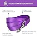 Blueberry Pet Essentials Dark Orchid Dog Leash for Large - 4' * 1