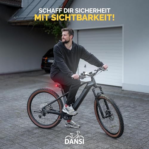 DANSI LED Fahrradlicht Set - StVZO Zugelassenes Fahrrad Licht mit 60, 30 & 15 Lux | LED Fahrradlicht Vorne+Hinten |Automatische Lichtanpassung & Werkzeuglose Montage| Regenfest