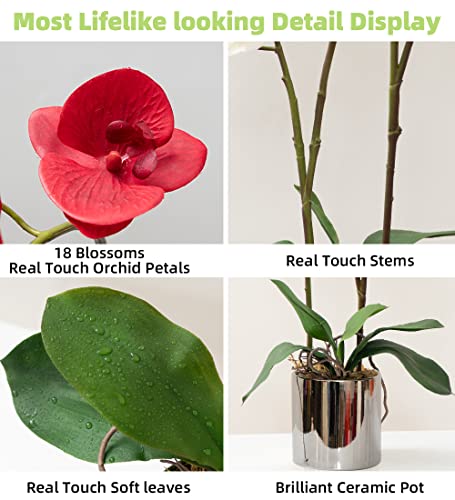 CXGS Artificial Orchid Flower Plant Real Touch Faux Orchids in Ceramic Vase Red 19.7'' Fake Phalaenopsis Flower Arrangement Centerpiece Home Indoor Decor by CXGS - Image 2