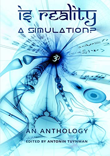 Is Reality a Simulation? view 2