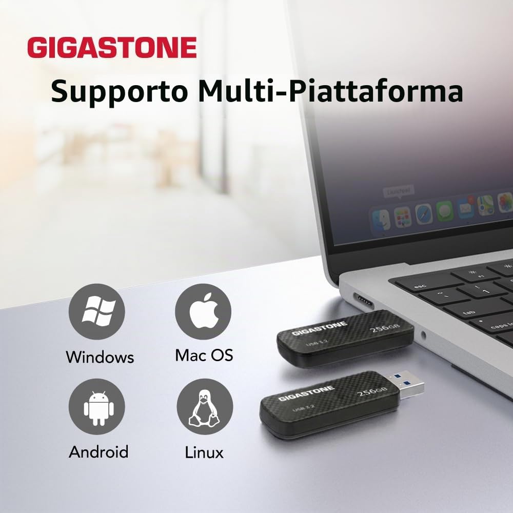 Gigastone Chiavetta USB 256 GB, Z30 USB 3.2 Gen 1 Professional Serie, Senza cappuccio con design retrattile, compatibile con interfaccia USB 2.0 / USB 3.0 / USB 3.1