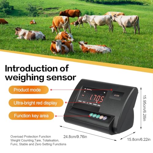 Kit Báscula Ganadera Digital Alta Precisión 5T LED miniatura 4