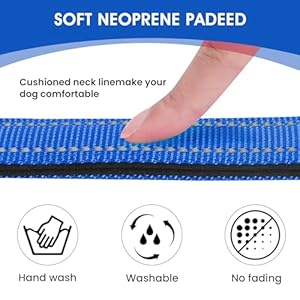 Reflective Dog Collar Padded with Soft Neoprene Breathable Quick Release Basic Dog Collars for Medium Dogs Blue Boy Girl  Cucciolini Doodles Reflective dog collar padded with soft neoprene breathable quick release basic dog collars for medium dogs blue boy girl   cucciolini doodles