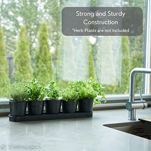 Scandinordica Black Herb Planter – 5 Herb Pots With Drainage Holes And Tray, Windowsill Planter, Indoor Herb Garden Planter Outdoor, Herb Pots For Indoor Plants | Windowsill Herb Garden #TOP3