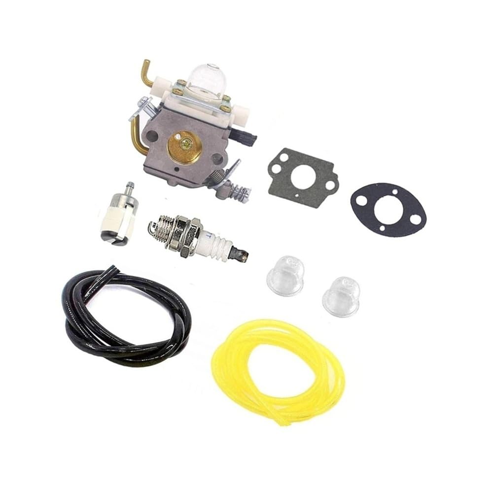 Carburateur pour PB-4600 idéal pour entretenir le jardin en automne