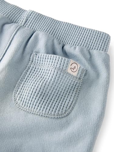 Image of Little Planet by Carter's Baby 2-Pack Shorts Made with Organic Cotton