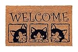 Designer Welcome Natural Coir Non Slip Doormat for Patio, Front Door, All Weather Exterior Doors 18 X 30 Inch 3 Box Animals Cats