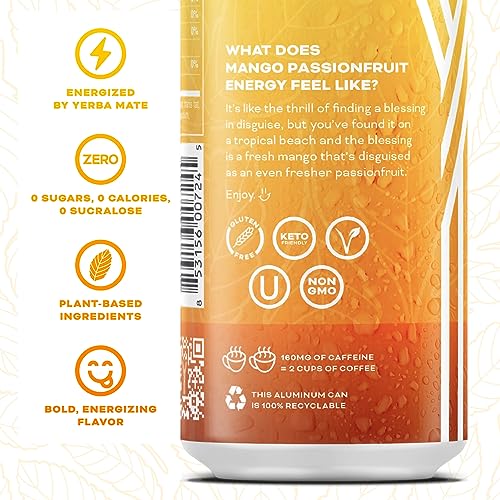 Image of Yerbae Variety Flex Pack, Functional Energy Drink - 0 Sugar, 0 Calories, 0 Carbs. Yerbae is Energized by Yerba Mate, Plant-Based, Healthy Alternative to Sugary Energy Beverages, 16oz cans (12 Pack)