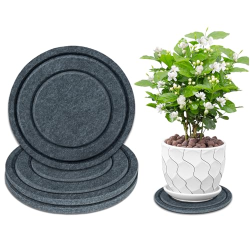 BXI Coasters image