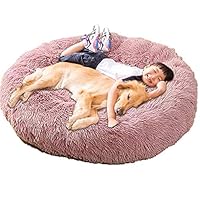 Beste Comfortabele Hondenbedden: Orthopedisch vs. Pluche Vergelijking