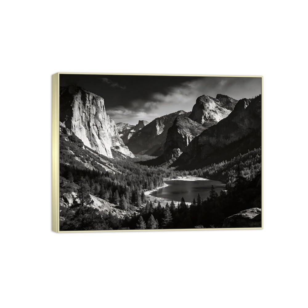 Tree Mountain Black White Landscape Canvas Picture 50x65cm Silver Frame