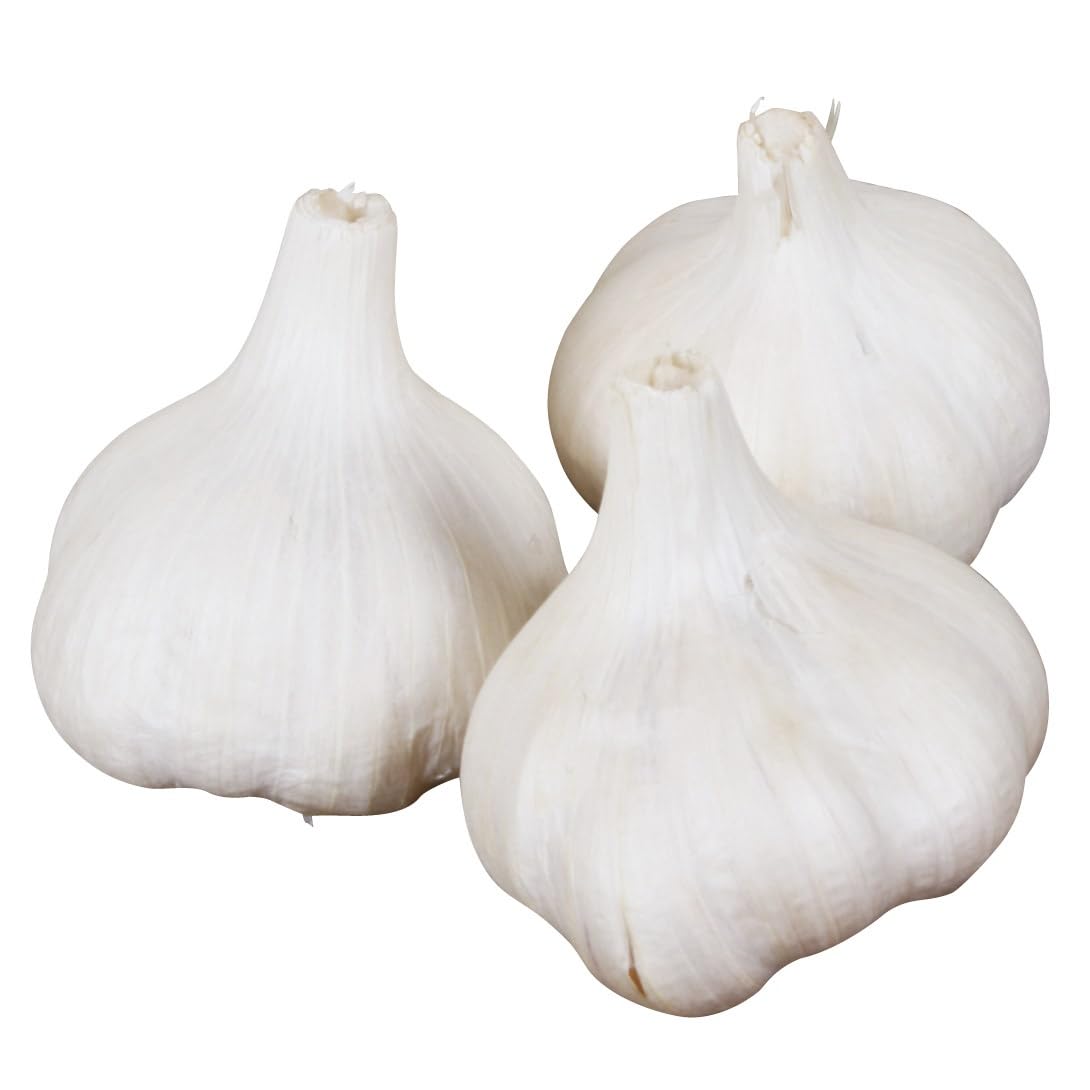 【さかもん】国産平戸ニンニク　内容は説明の通り Amazon.co.jp: ニンニク 種球 平戸 500g / 国華園 25年秋商品