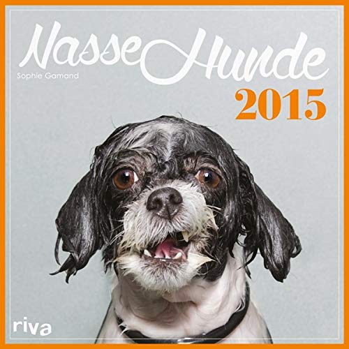 Nasse Hunde 2015
