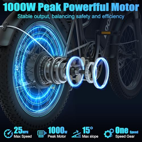 LoonFat T20 2-Seat Ebike
