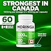 Organic Moringa Leaf Capsules 1300mg dosage (STRONGEST IN CANADA) 2x 650mg per cap. Provides Powerful Antioxidants. Protects Against Cell Damage, Moringa Powder Capsules Supports Liver Detox & Gut Health. Made in Canada, 120 vegan caps