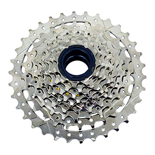 DNP ST1991 - Piñón libre atornillable (10 velocidades)