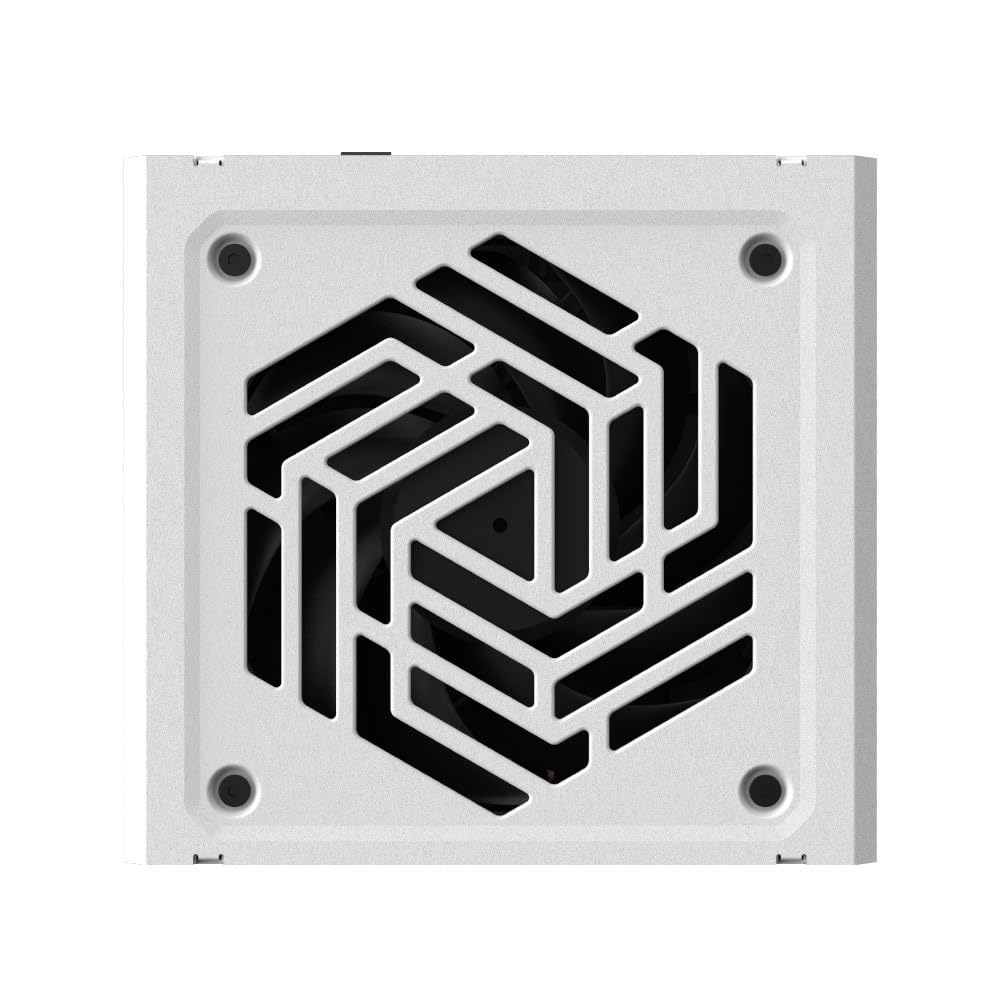 FSP VITA-1000GM PPA10A4013 PC-/Server-Netzteil ? 1000W ? ATX 3.1 ? 80 Plus Gold ? vollmodular ? 12V-2x6 ? wei?e Ausf?hrung