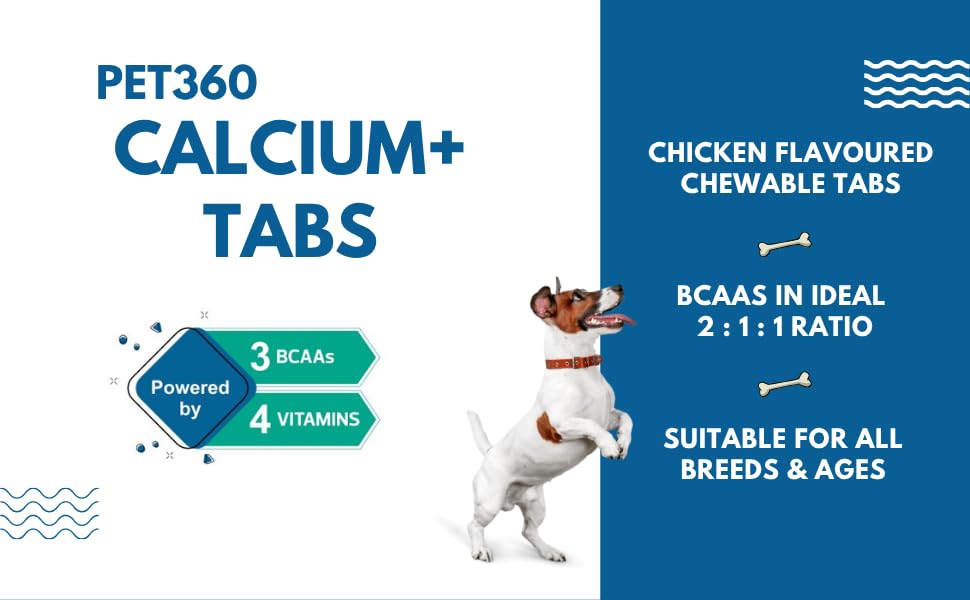 PET360 Calcium+ TABS Advanced Mobility Formula for Dogs & Cats | Bone Growth, Muscle Strength & Nerve Support with Calcium, Amino Acids & Vitamins | Chicken Flavor | Chewing Tablets - 120 Tablets 1