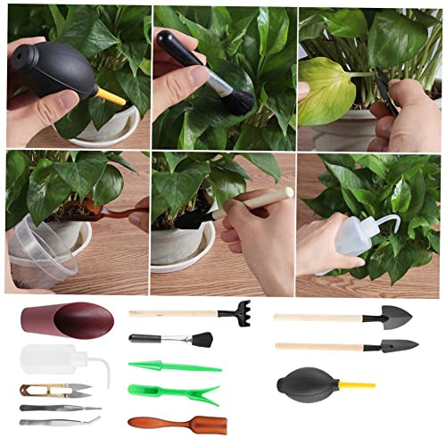 Complete Set Of 8 Bonsai And Succulent Gardening Hand Tools For Planting Transplanting And Flower Gardening - Small And Easy To Handle Hand-Held Tools For Your Garden #TOP5