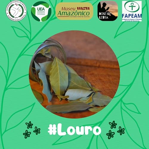 #2 (3) Louro - Desvendando os segredos da folha de louro na medicina natural copertina