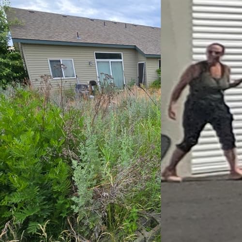 296 | Saying NO Is Healthy + Lady Snapped At Me @ Storage