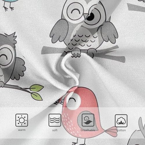 Bright Girls Underwear Toddler 2t Cotton Cute Panties Girl Cute Cartoon Owls Birds Grey Kids Briefs Undies3