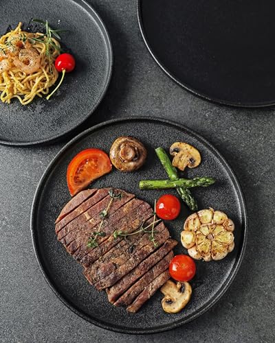 Lareina-Dinner-Plates-Scratch-resistant-1025-Inch-Flat-Ceramic-Plate-Set-of-4-Porcelain-Plates-with-Lipped-Edge-for-Salad-Steak-in-Kitchen-Restaurant-Natural-Primitive-Texture-Cast-Iron-Black Lareina Dinner Plates Scratch resistant 1025 Inch Flat Ceramic Plate Set of 4 Porcelain Plates with Lipped Edge for Salad Steak in Kitchen Restaurant Natural Primitive Texture Cast Iron Black