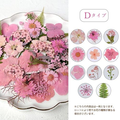 【Rink handmade♔♥︎様おまとめ】ドライフラワー Amazon.co.jp: GreenOcean 押し花MIX 約33枚 アソートセット
