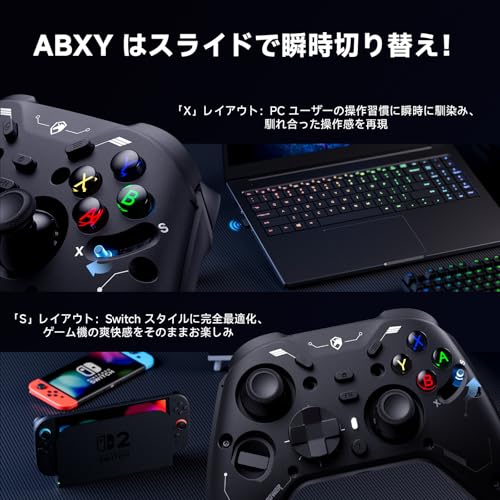 undefined ECHTPower コントローラー PC Switch2 充電ドック 6軸ジャイロ 2.4Gレシーバー ホール効果スティック/トリガー ABXY切り替え可能 1200mAh 1000Hz 連射 背面ボタン 取り外しカバー 2 種類十字キー 4方位振動 無線/有線接続 ドリフト防止 PC/Switch2/Steam/Android/iOS/スマホに対応 ブラック の商品画像 1