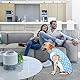 Hunde Erholungsanzug,Anti Lecken Hundebody Nach Op für Hunde und Katzen,Pet Onesie Cone E-Collar Alternative Hunde Operationsweste für Bauchwundschutz,Hautkrankheit,Entwöhnung, Postoperativ (Medium)